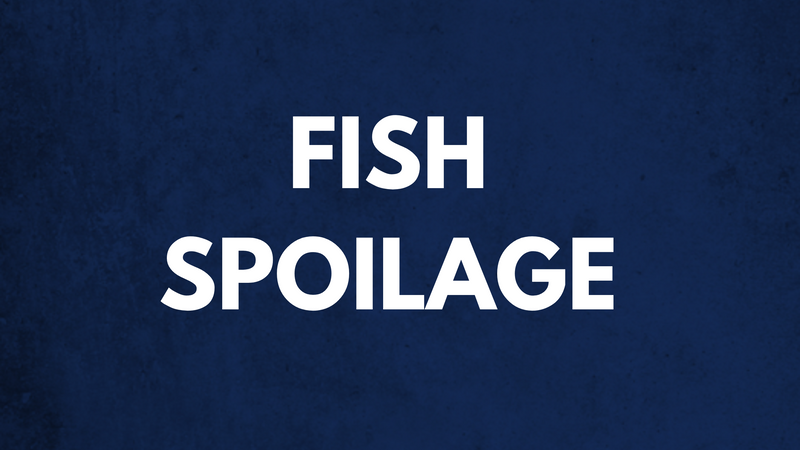 Fish Spoilage - Fish Right, Eat Right Tutorial 4